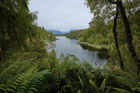 A lake surrounded by dense vegetation, embedded in a green landscape under a cloudy sky, summer,