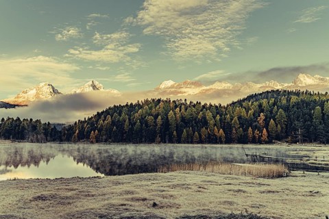 Lake Staz near Sankt Moritz in the Engadin in Switzerland. Morning atmosphere with fog in autumn.