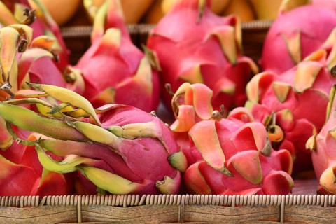 Close up of exotic Dragonfruit fruits for sale at market