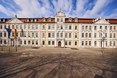 State parliament, historic houses, baroque architectural style, facade, windows, flagpoles, flags,