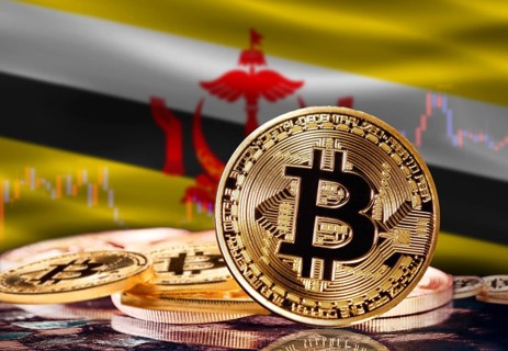 Bitcoin with Brunei flag in the background. Investors in cryptocurrency and Blockchain Technology