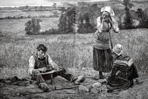 Agriculture, Farmer cutting grass in the field, the man is dening, sharpening, a scythe, 1880,