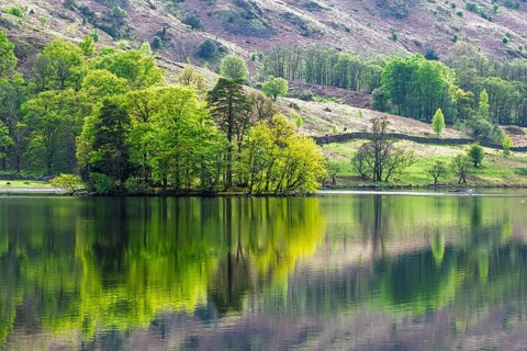 Rydal Water, Rydal, Ambleside, Lake District, Westmorland, Cumbria, England, United Kingdom