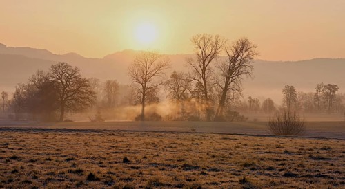 Meadows and trees in the early morning mist in the light of the rising sun, Reusstal, Aristau,