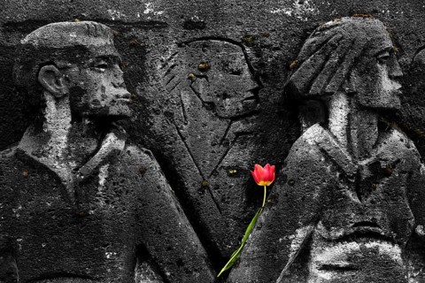 Bittermark memorial, memorial site, detail with tulip for the memorial service on Good Friday,