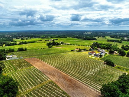 Vineyards and grape fields around Bordeaux from a drone, Saint-Mariens, Gironde,