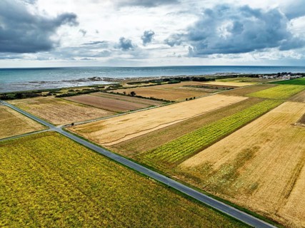 Fields and Grape plantations from a drone, Saint-Clement-des-Baleines, Atlantic, France