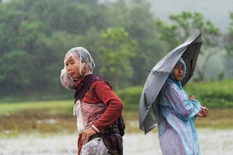 Tribal women stands with umbrella during a heavy rain in Golapara, India on 31 May 2025