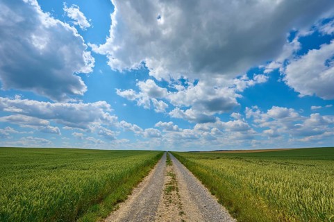 A gravel path leads through a wide wheat field under a sky with dramatic clouds, summer, Retzstadt,
