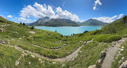 Panoramic view of Jardin Alpin in the foreground, Lac du Mont Cenis reservoir behind, Mont Cenis