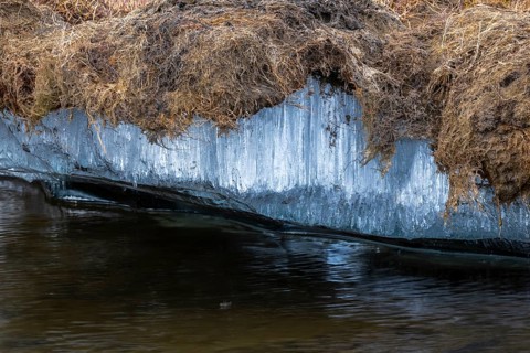 Permafrost, ice below the surface, Aventdalen, Longyearbyen, Spitsbergen, Svalbard