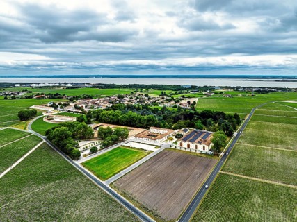 Chateau d'Armailhac Vineyard and grape fields around Pauillac and Gironde Estuary from a drone,