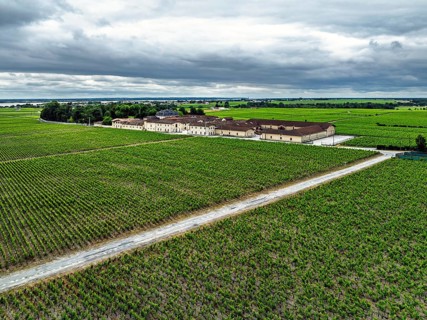 Chateau Pontet-Canet Vineyard and grape fields around Pauillac and Gironde Estuary from a drone,