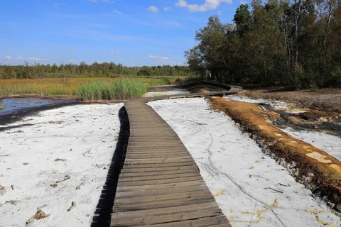 Mineralised water coming to the surface, deposits, formerly boiled down to salts in brewing huts,