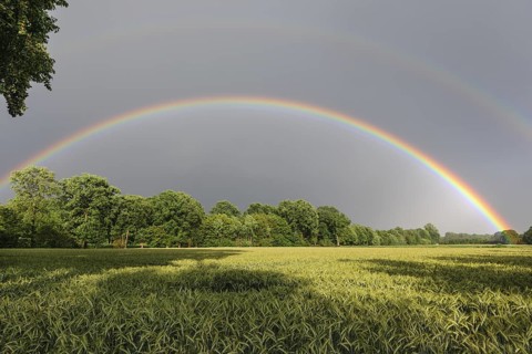 Intense double rainbow over cereal fields in summer, Germany