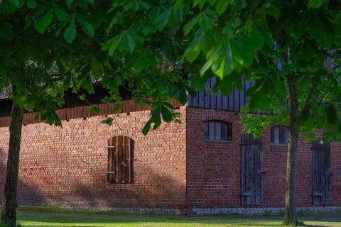 View through two chestnut trees to a part of a barn, Böhme, Heidekreis, Rethem Aller, Leine Aller