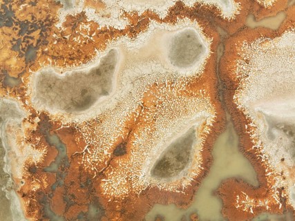 Salt marsh at the Skeleton Coast. Aerial view. Drone shot. Dorob National Park, Namibia