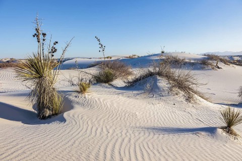 Gypsum dunefields at White Sands National Monument located within the Chihuahuan Desert and the