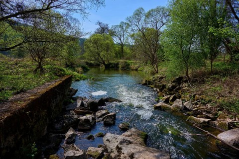 A tranquil river landscape with green trees and stones lining the banks, spring, Burgsinn, Sinntal,