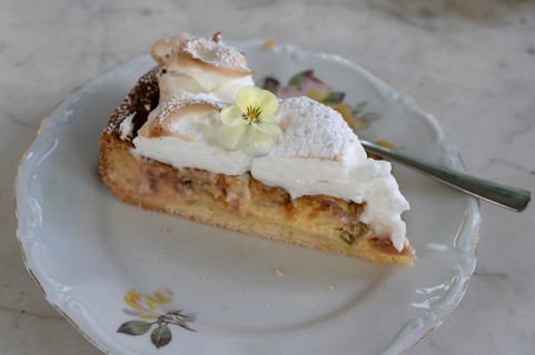 Piece of rhubarb pie, Bavaria, Germany