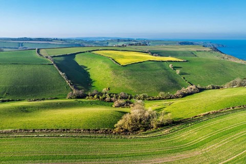 Farms and Fields over Brixham and Kingswear from a drone, Devon, England, United Kingdom