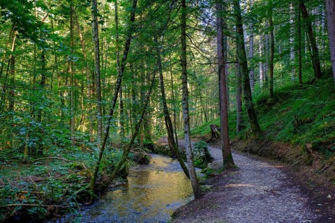 Einbach, on the hiking trail to the Dachshöhlen caves, Wackersberg, Tölzer Land, Upper Bavaria,