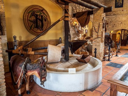 Museo del Aceite, olive oil museum and shop, village Cabra, Andalusia, Spain