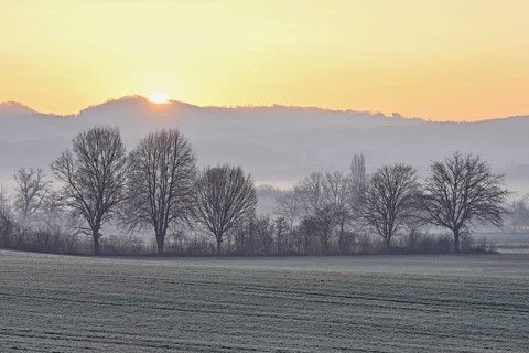Meadows and trees in the early morning mist in the light of the rising sun, Reusstal, Aristau,