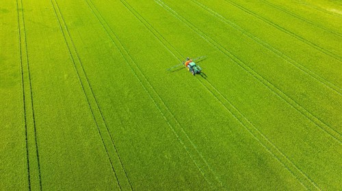 Farmer with tractor working in the field. In early summer, he fertilises the grain for an optimum