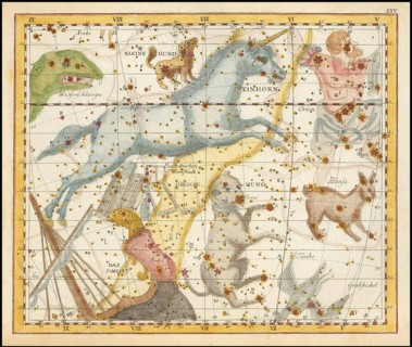 Sign of the zodiac, unicorn, large and small dog, star chart, universe, astrology, horoscope, after