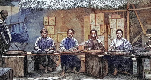 Tea sorter in China, coloured wood engraving, reproduction of an original from ca 1888, historical,