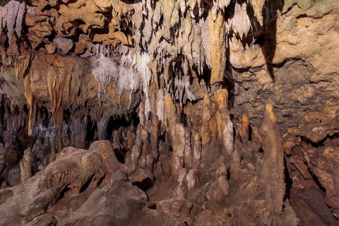 Limestone rock formations in a cave at Florida Caverns State Park in the Florida panhandle near