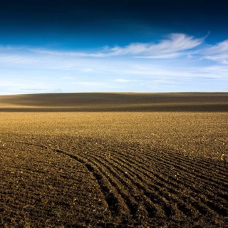 A vast stretch of farmland showcases freshly tilled soil stretching towards the horizon. The sky is