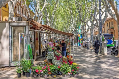 La rambla in Palma de Mallorca a attractive tree lined boulevard with fresh flower market and