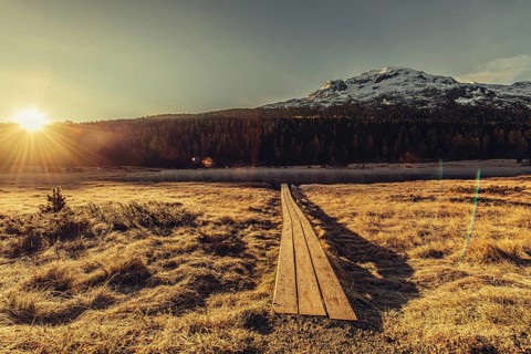 Lake Staz near Sankt Moritz in the Engadin in Switzerland. Morning atmosphere with fog in autumn.