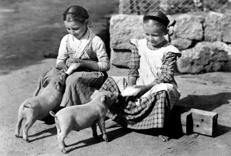 Two hungry piglets and girls, 1930s, Two girls feeding piglets with bottles on a rural road,