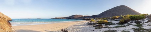 Beach, bay, Cormorant Point, Galapagos, Ecuador
