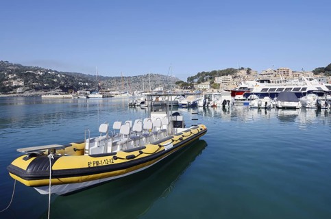 Boats in the harbour, Port De Soller, Majorca, Balearic Islands, Spain
