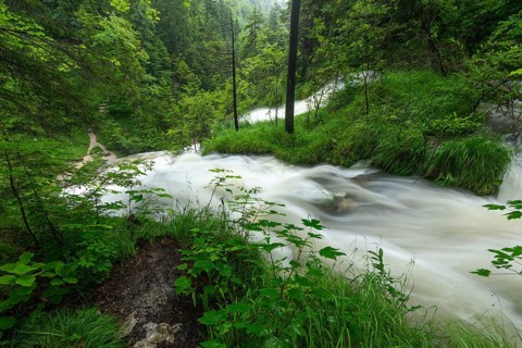 Magical waterfalls in the Weißbachtal valley near Inzell after heavy rain