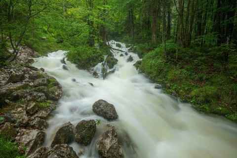 Roaring Weißbach after heavy rain near Inzell in the Alps