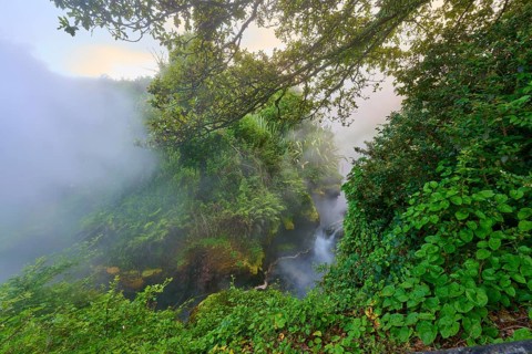 Steaming waterfall surrounded by dense vegetation and a mystical atmosphere, Te Manaroa Spring, hot