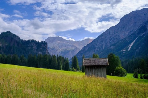 Barn and Prato Piazza meadows, Altpragser Tal, Pragser Tal, Pustertal, South Tyrol, Italy