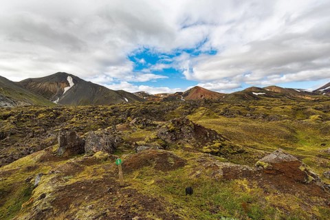 Volcanic landscape, moss-covered lava field, Landmannalaugar, remote hiking area in the Fjallabak