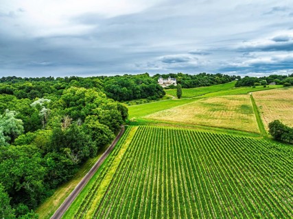 Castle of La Riviere, Vineyard Chateau de La Riviere from a drone, Bordeaux, France