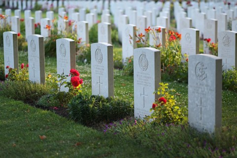 Gravestones, war graves, soldiers' graves, flowers, roses, British and German military cemetery,