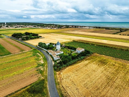 Fields and Grape plantations from a drone, Saint-Clement-des-Baleines, Atlantic, France