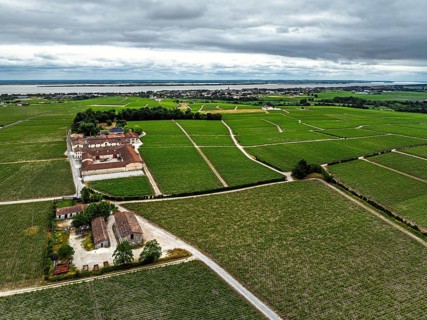 Chateau Pontet-Canet Vineyard and grape fields around Pauillac and Gironde Estuary from a drone,