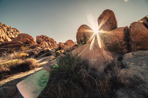 Sunrise in Joshua Tree National Park