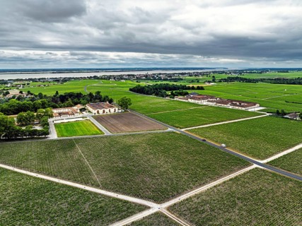 Chateau d'Armailhac Vineyard and grape fields around Pauillac and Gironde Estuary from a drone,