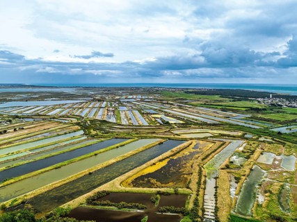 The Lilleau des Niges National Nature Reserve from a drone, The salt marshes,